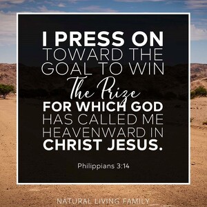 Fundraising Page: Bobby Reed